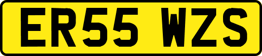 ER55WZS