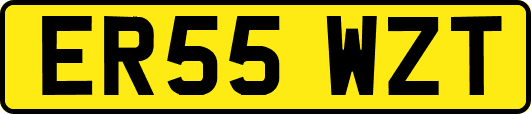 ER55WZT
