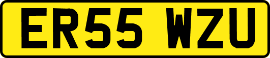 ER55WZU