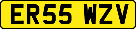 ER55WZV