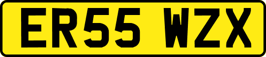 ER55WZX