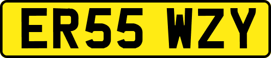ER55WZY