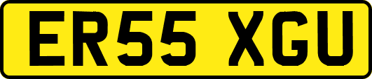 ER55XGU