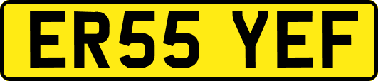 ER55YEF
