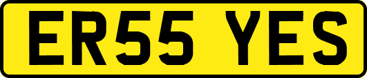 ER55YES
