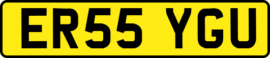 ER55YGU