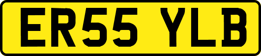 ER55YLB