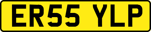 ER55YLP