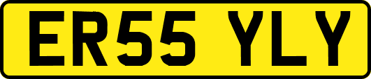 ER55YLY
