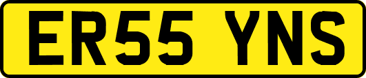 ER55YNS