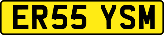 ER55YSM