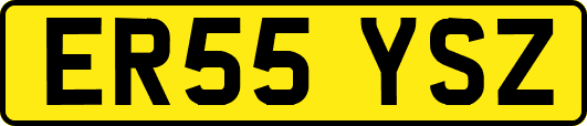 ER55YSZ