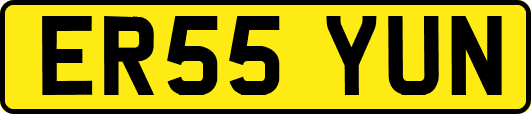 ER55YUN