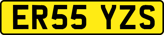 ER55YZS