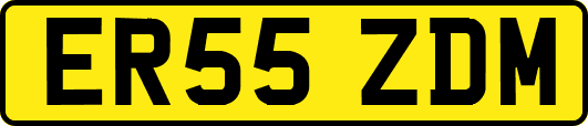 ER55ZDM
