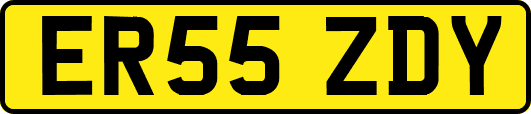 ER55ZDY