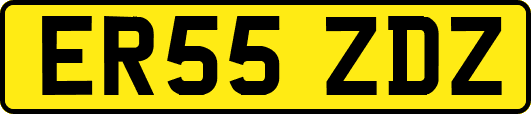 ER55ZDZ