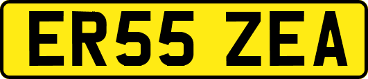 ER55ZEA