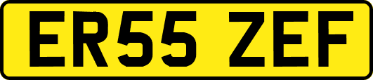 ER55ZEF