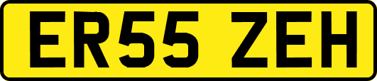 ER55ZEH