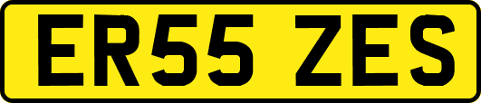 ER55ZES