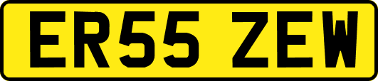 ER55ZEW