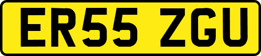 ER55ZGU