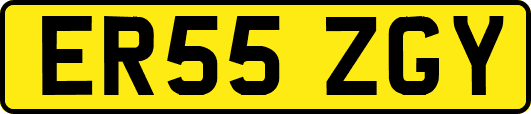 ER55ZGY