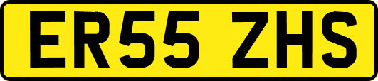 ER55ZHS