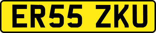 ER55ZKU