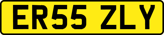 ER55ZLY