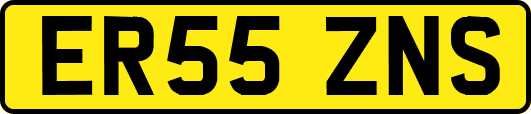 ER55ZNS