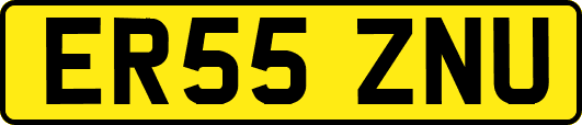 ER55ZNU