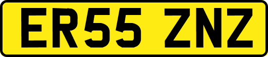 ER55ZNZ