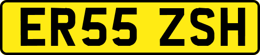 ER55ZSH