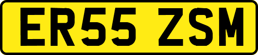 ER55ZSM