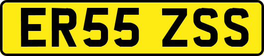 ER55ZSS