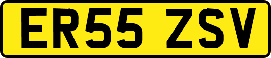 ER55ZSV