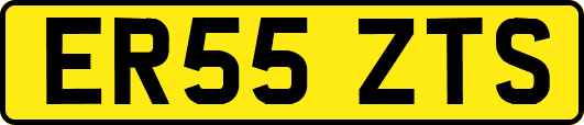 ER55ZTS