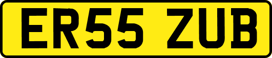 ER55ZUB