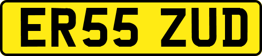 ER55ZUD