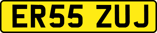 ER55ZUJ