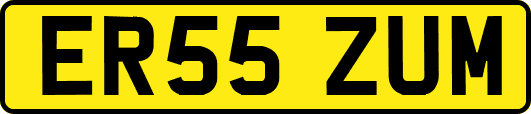 ER55ZUM
