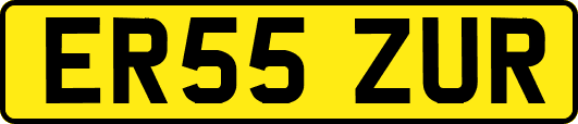 ER55ZUR