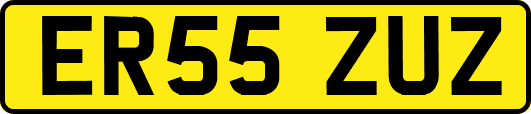 ER55ZUZ
