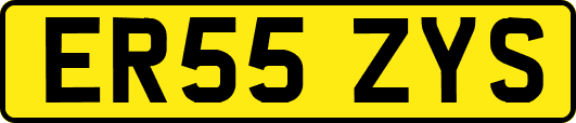 ER55ZYS