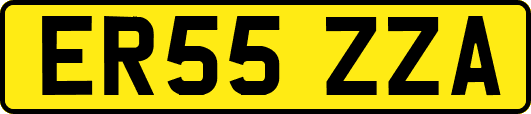 ER55ZZA