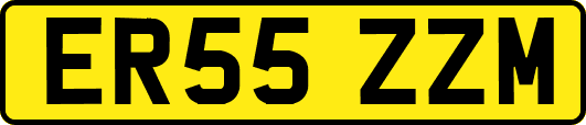 ER55ZZM