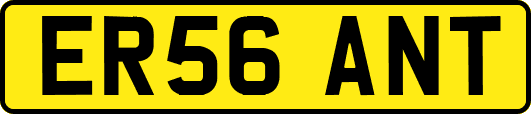 ER56ANT