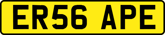 ER56APE